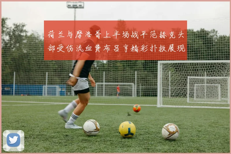荷兰与摩洛哥上半场战平范赫克头部受伤流血费布吕亨精彩扑救展现实力