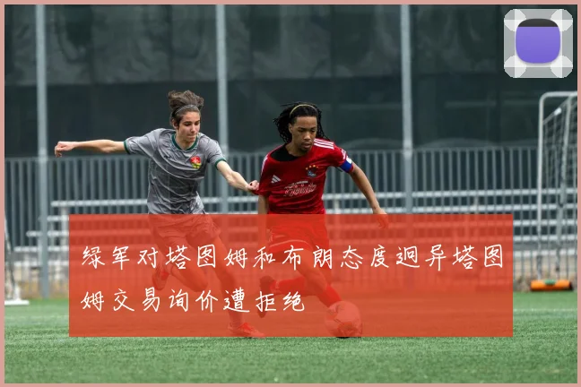 绿军对塔图姆和布朗态度迥异塔图姆交易询价遭拒绝